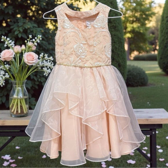 Rare Editions Other - Rare Editions Girls Blush Floral Embroidered Formal Dress Size 10